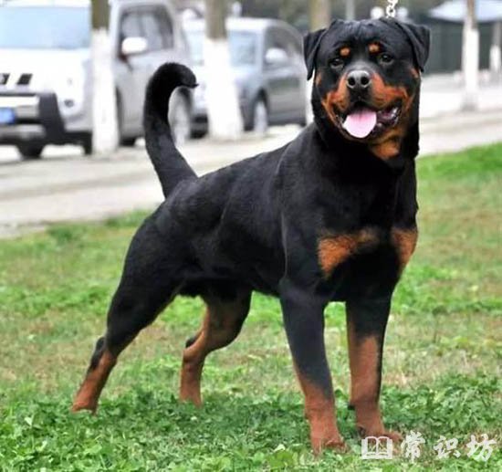 ʮȮа