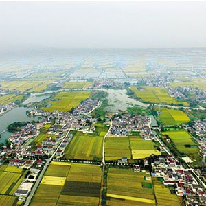 岼˼