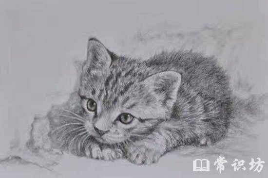 ΩΩФ˼