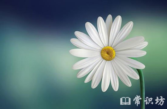 ˼