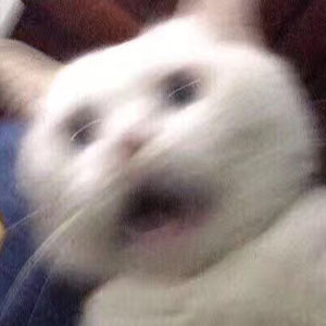 л㱵˼