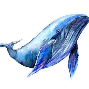 <b>ľ</b>