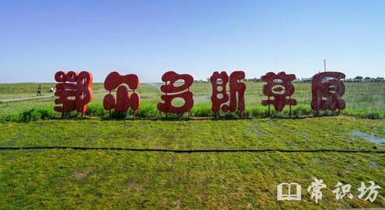 中国最大的草原