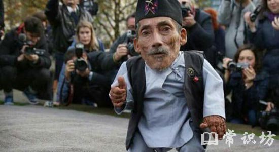 世界上最矮的人