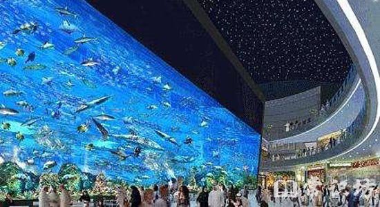 世界上最大的水族馆