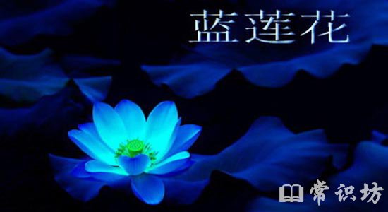 最好听的歌