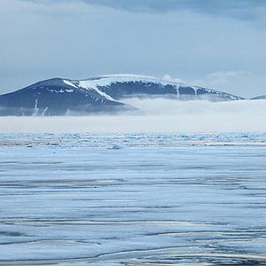 <b>ĴСһ</b>